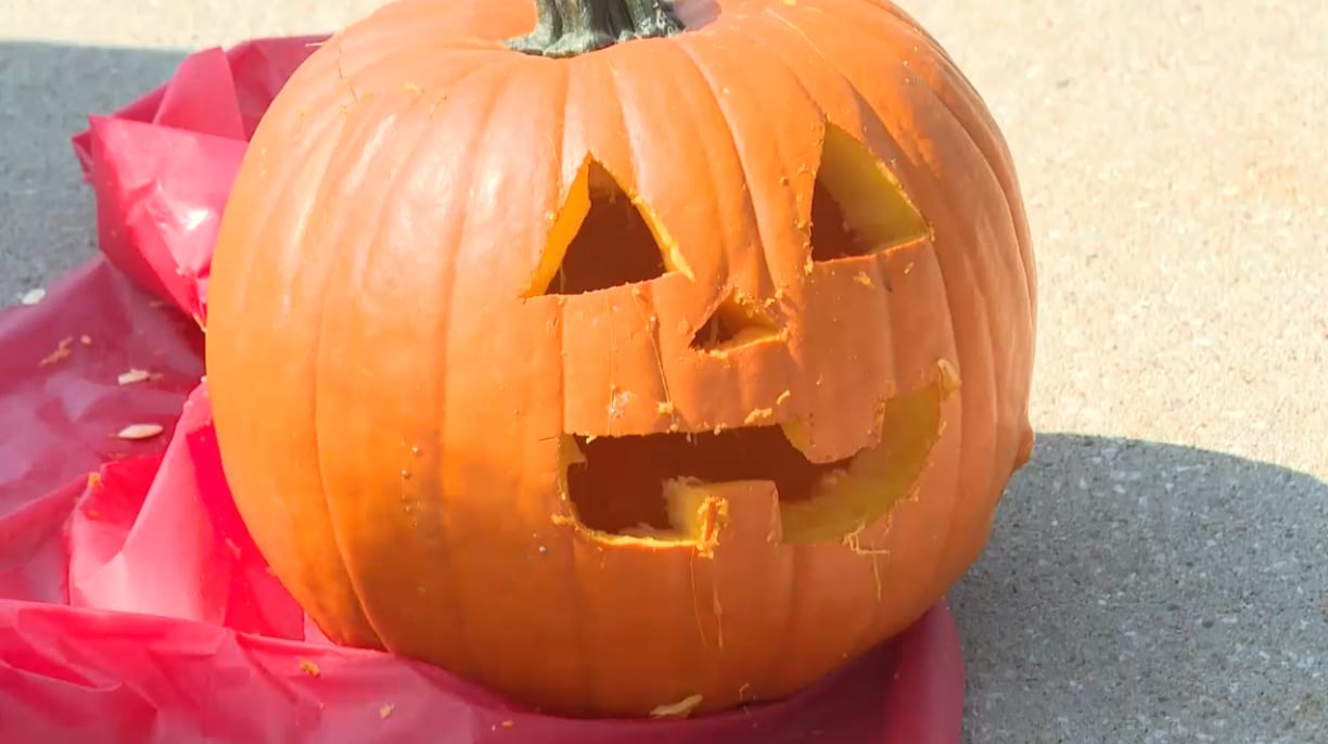 Botanica Gardens Hosts Family-Friendly Halloween Event ‘Bootanica’