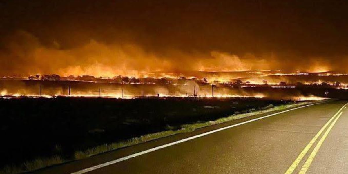 Why Meade County won't receive federal funding for disaster assistance after devastating wildfires