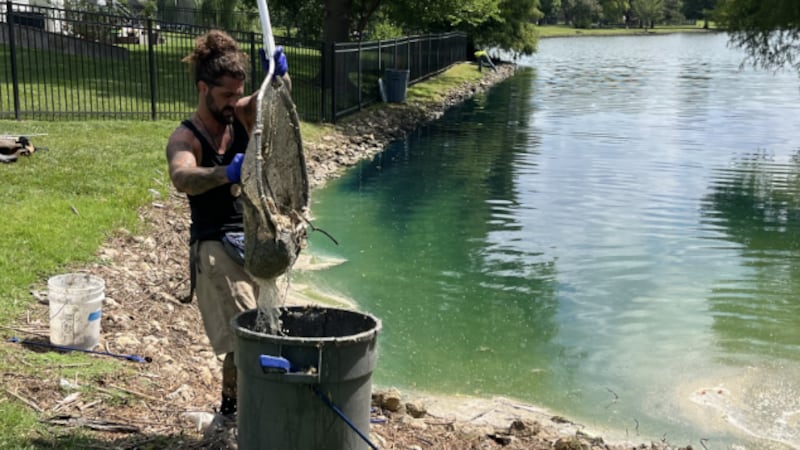 Cleanup efforts are underway in a northwest Wichita pond in which thousands of dead fish...