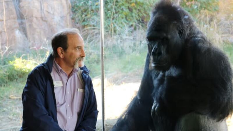 Former SCZ executive director Mark Reed.