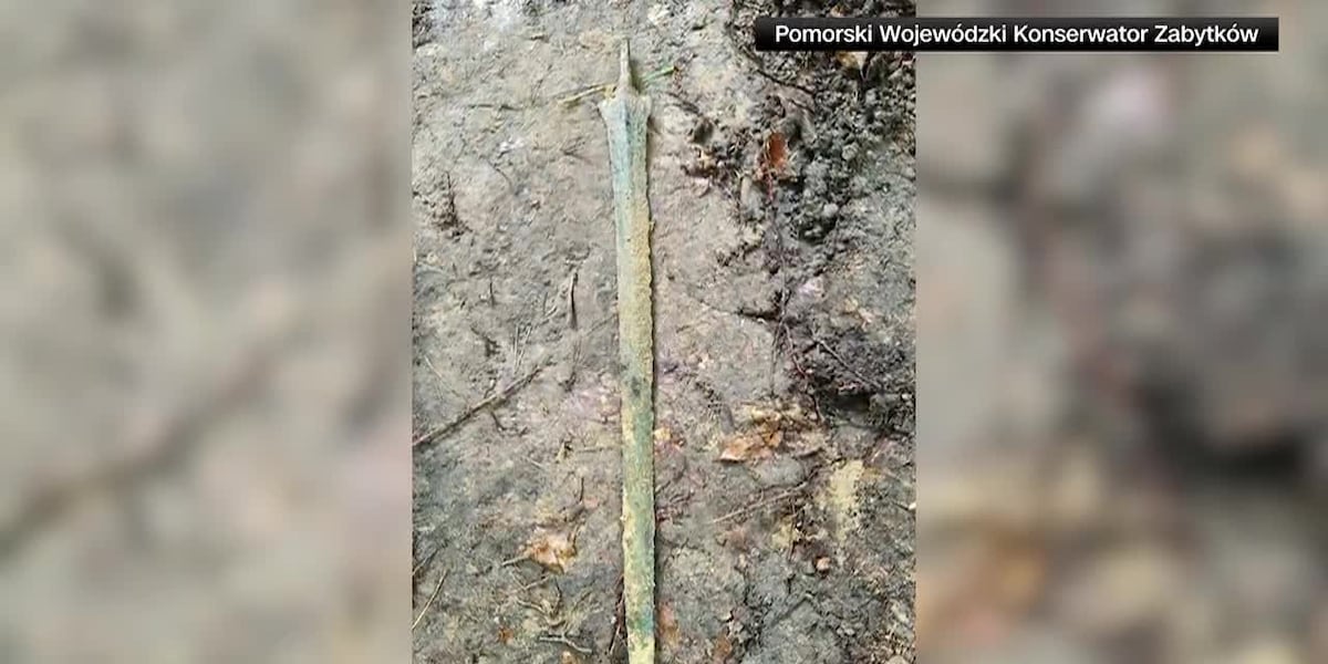 Man stumbles upon 2,700-year-old sword in the forest