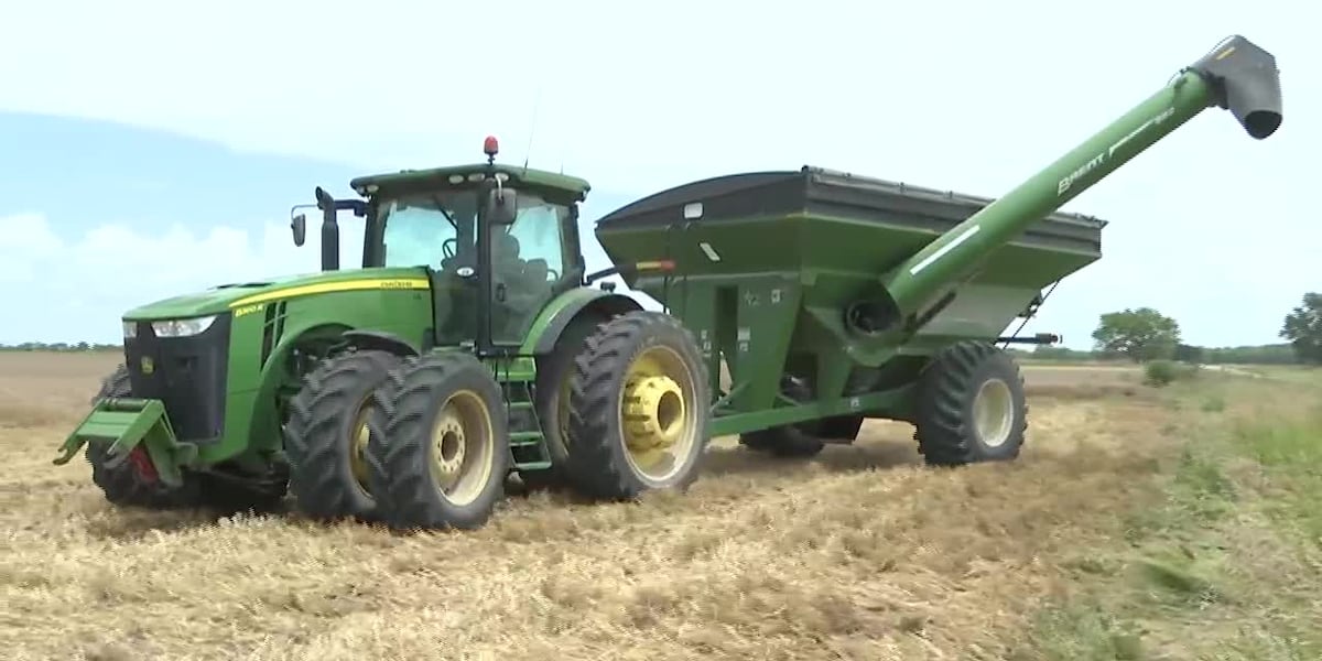 Rain poses challenges for some Kansas farmers as harvest wraps up