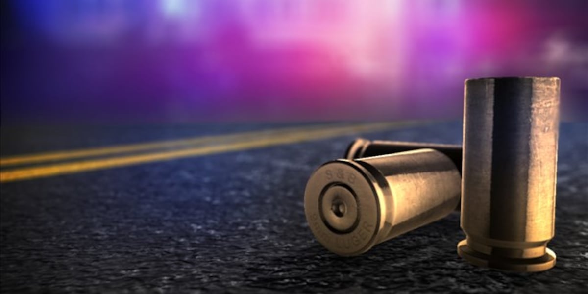 Coverage image for: Police: Man arrested after shooting at Hutchinson officer; dead dog found in suspect’s home