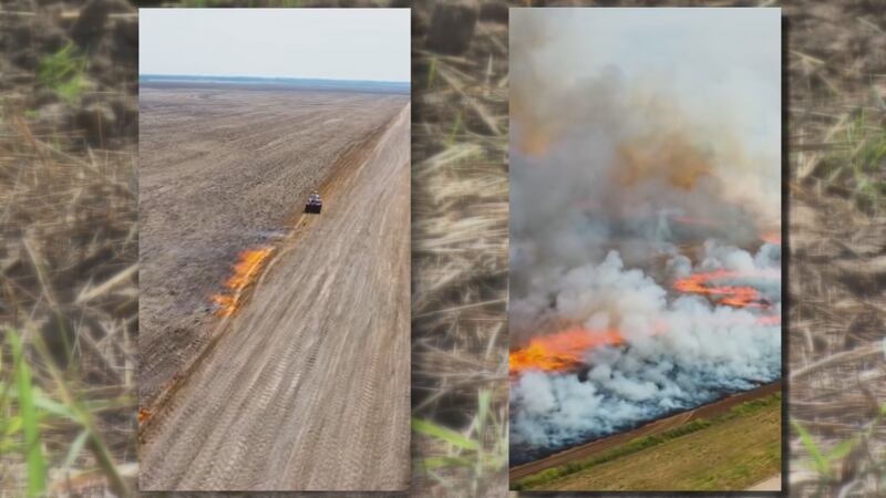 Harper County farmer documents burning own wheat crop after heavy rains caused wheat to spoil