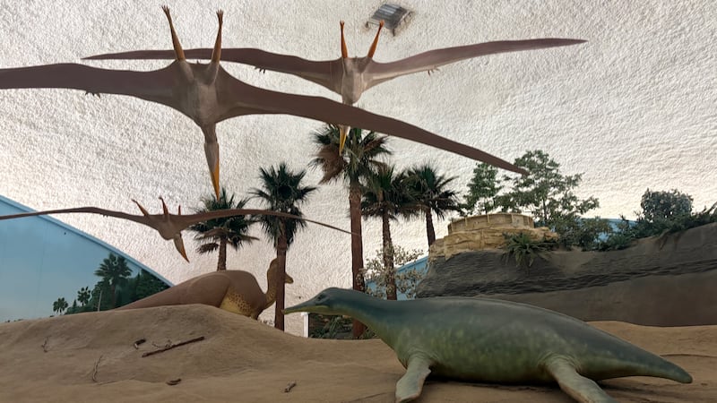 The museum is set to close its public operations on December 18 if it can't find funding to...
