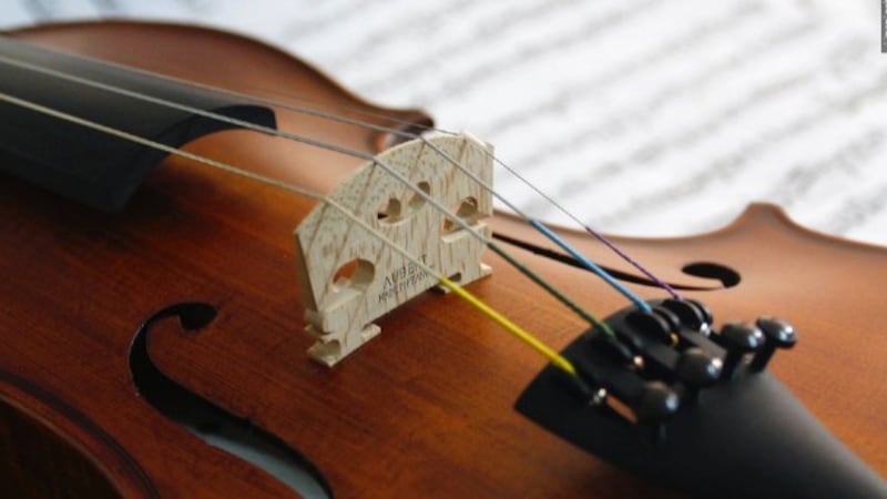 Violin