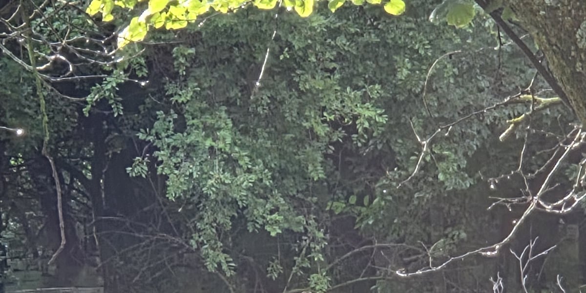 Flooding strands family on property near MacArthur and Maize Road