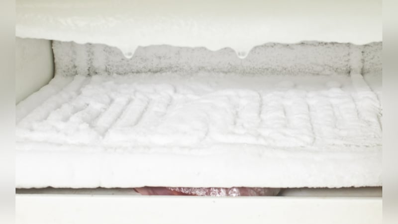 FILE -- Freezer image.