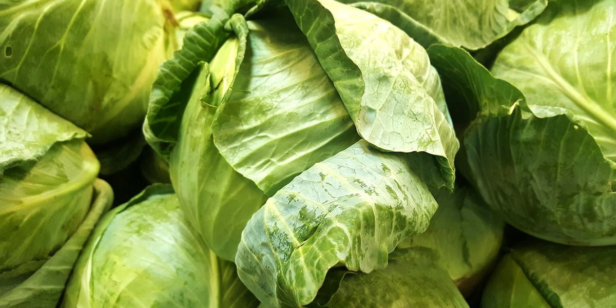 Taylor Farms recalls iceberg lettuce linked to ‘explosive diarrhea' outbreak as cases near 7,000