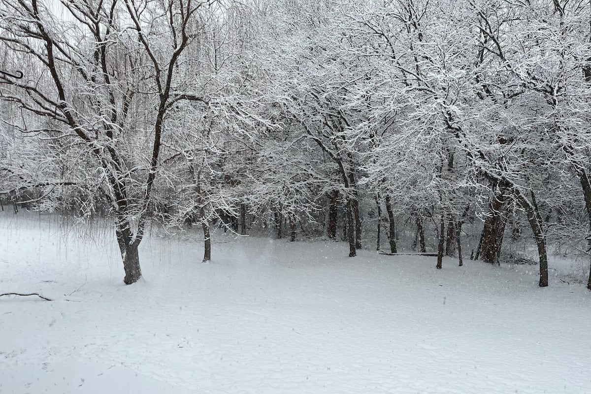 Snow Fall Kansas Photo gallery: Snow falls throughout Kansas