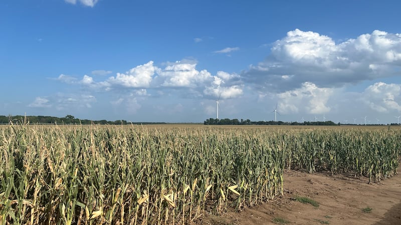 Although Kansas had helpful rain this summer, it's all dried up, leaving farmers worried about...