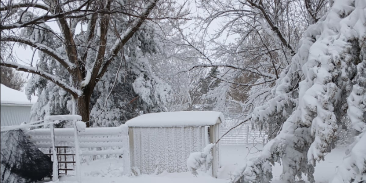 Spring Weather Update: Winter Storm Hits Kansas with High Winds and Snow Spring Weather Update: Winter Storm Hits Kansas with High Winds and Snow