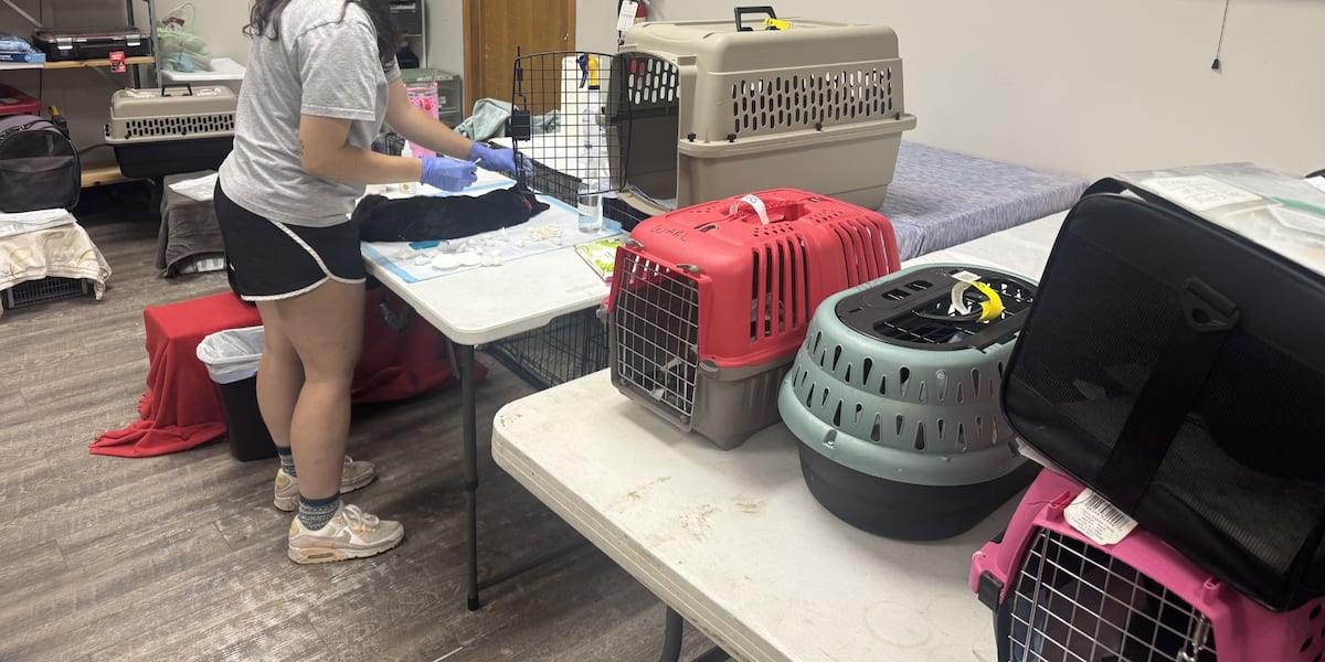 Gruesome discovery leads Wichita influencer to launch fundraiser for animal group
