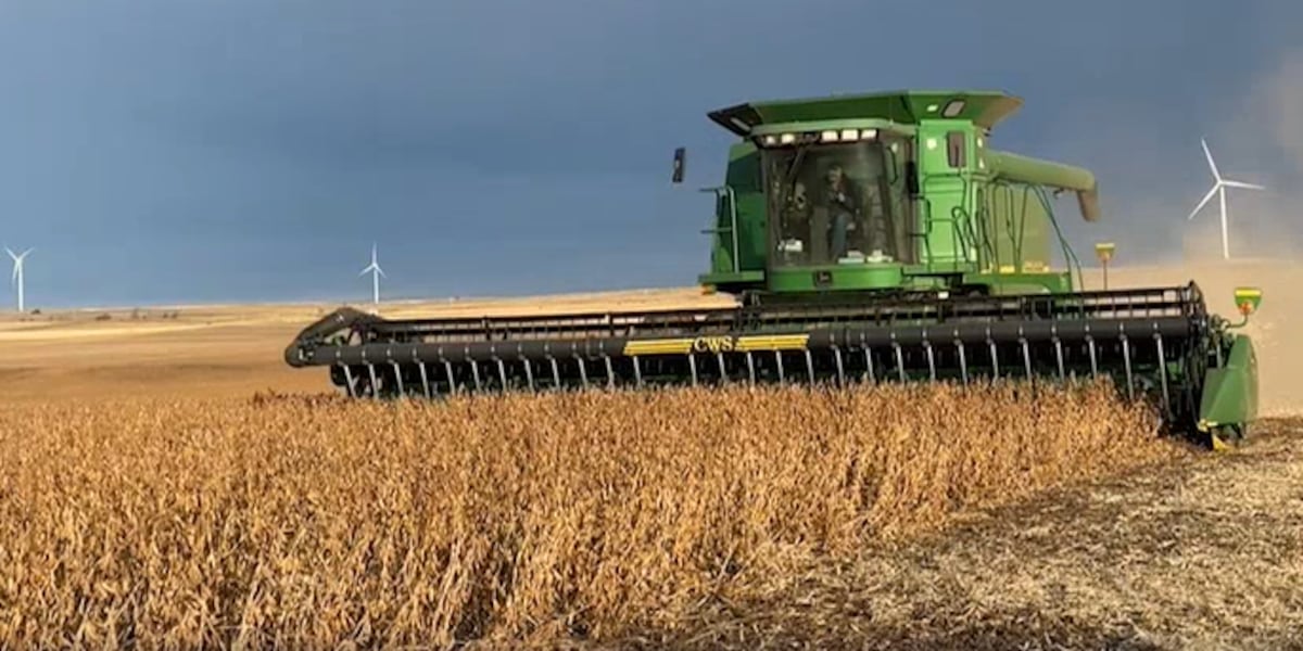 Producers closely following developments as Kansas exports could take hit from tariffs Producers closely following developments as Kansas exports could take hit from tariffs