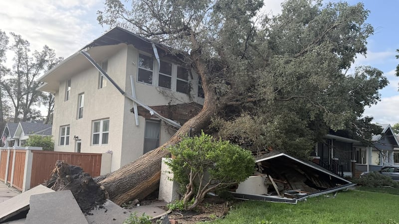 Hurricane force winds blew through Salina Monday night, knocking down trees, including this...