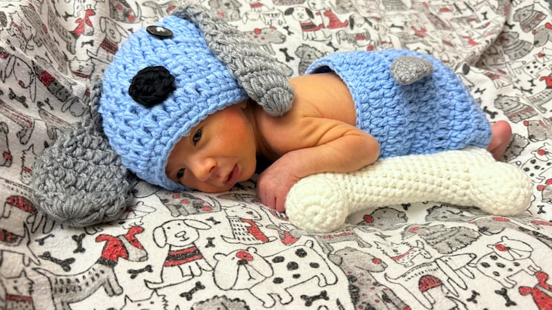 Via Christi St. Joseph NICU babies in Halloween costumes.