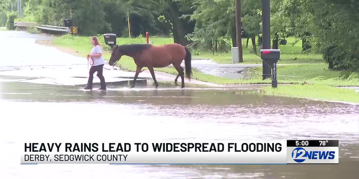 Flooding at High Park
