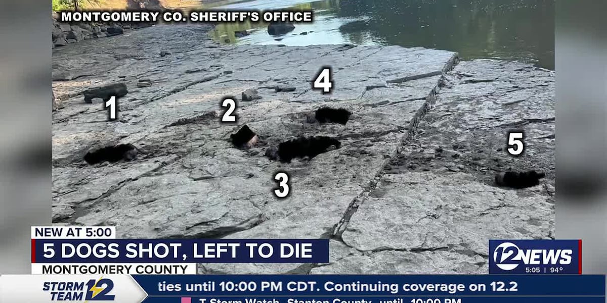 Multiple dogs shot, left to die in southeast Kansas