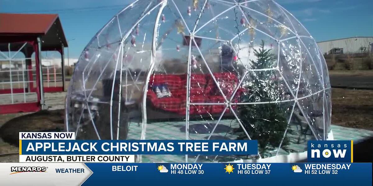 Applejack Tree Applejack Tree Farm with all the Christmas activities